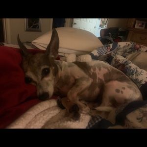 Meet your Posher, Erna louise